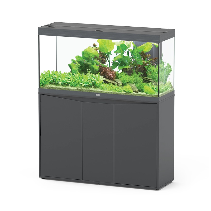 Acuario Splendid 80 - Aquatlantis