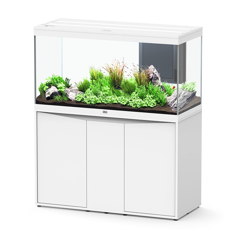 Acuario Splendid 120 - Aquatlantis