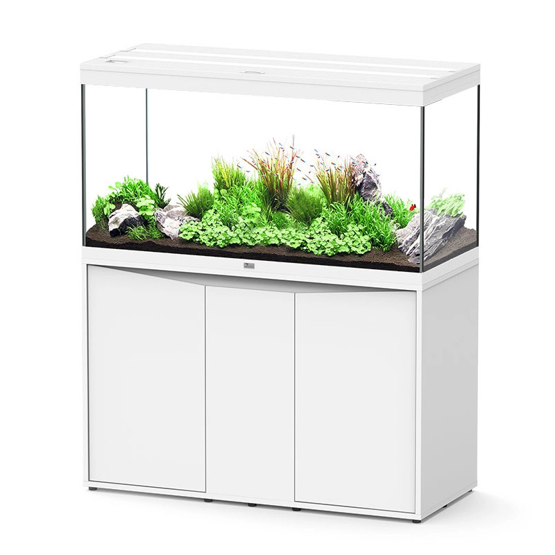 Aquário Splendid 120X50 External Filtration - Aquatlantis