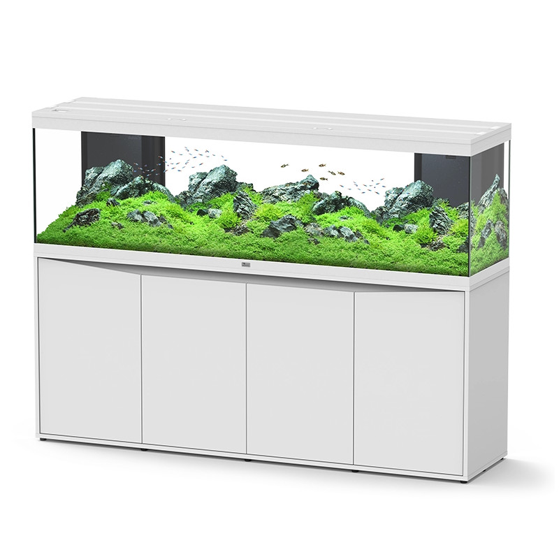 Aquário Splendid Ultra 200 Filtro Interno - Aquatlantis