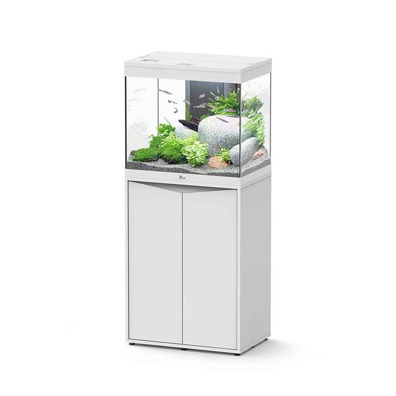 Aquário Splendid 60 - Aquatlantis