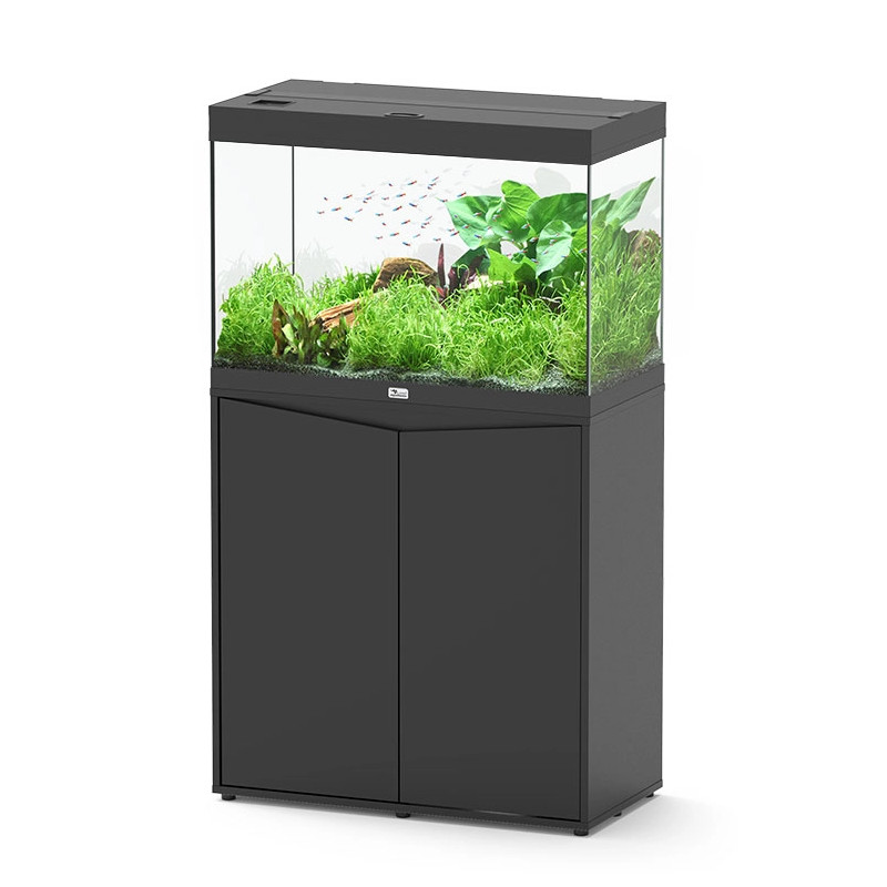 Acuario Splendid Ultra 80 Filtro Externo - Aquatlantis