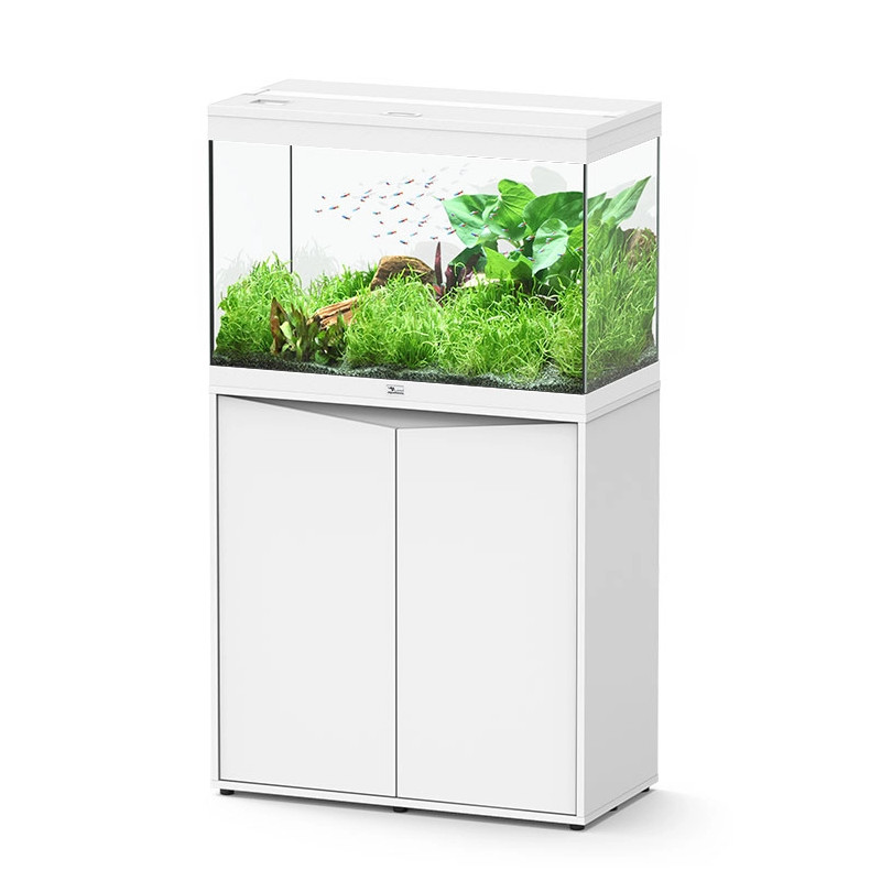 Acuario Splendid Ultra 80 Filtro Externo - Aquatlantis