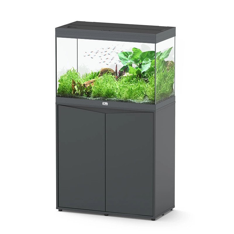 Acuario Splendid Ultra 80 Filtro Externo - Aquatlantis