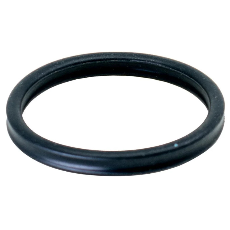 Prefilter gasket for Oase BioMaster