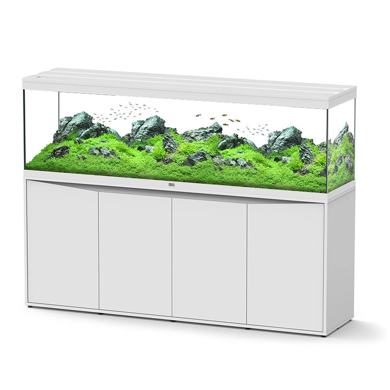 Aquário Splendid 200 External Filtration - Aquatlantis