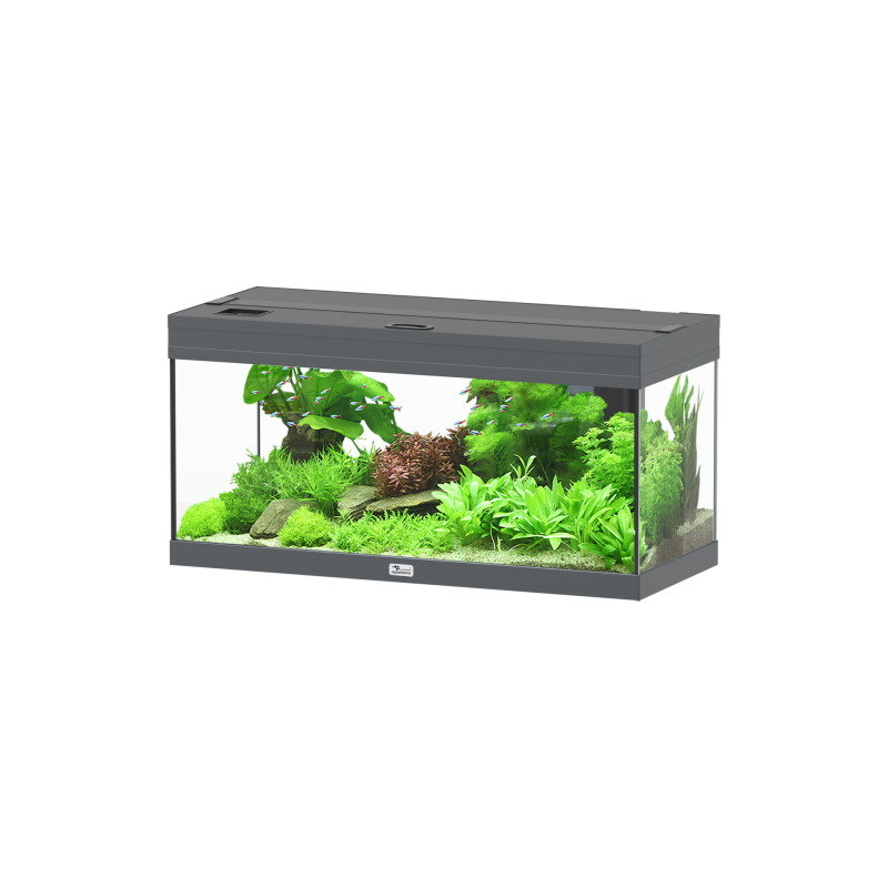 Acuario Prestige 80 - Aquatlantis