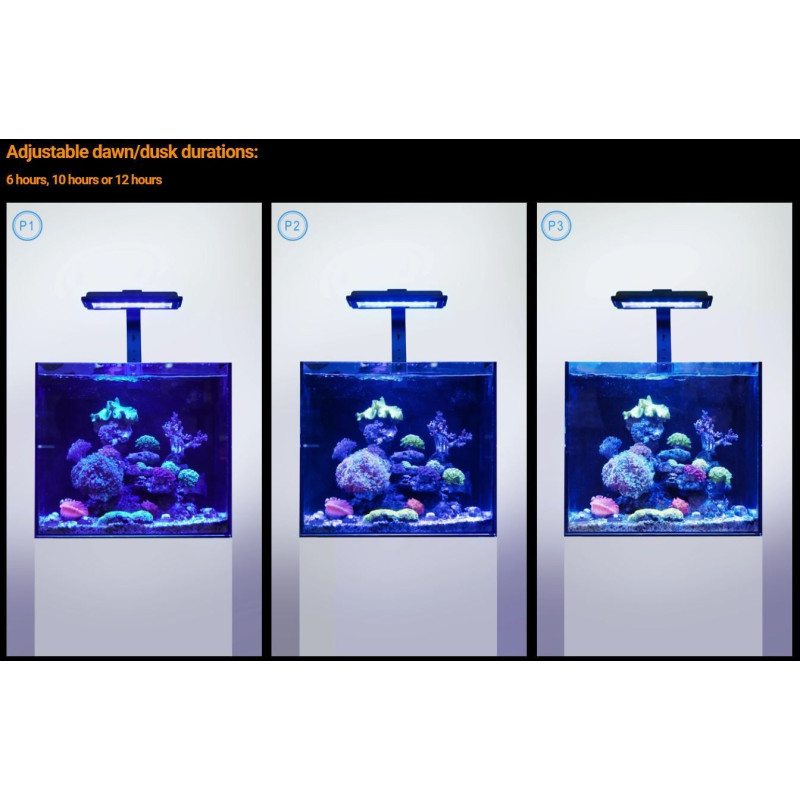 Jump LED MJ-L130 - Maxspect