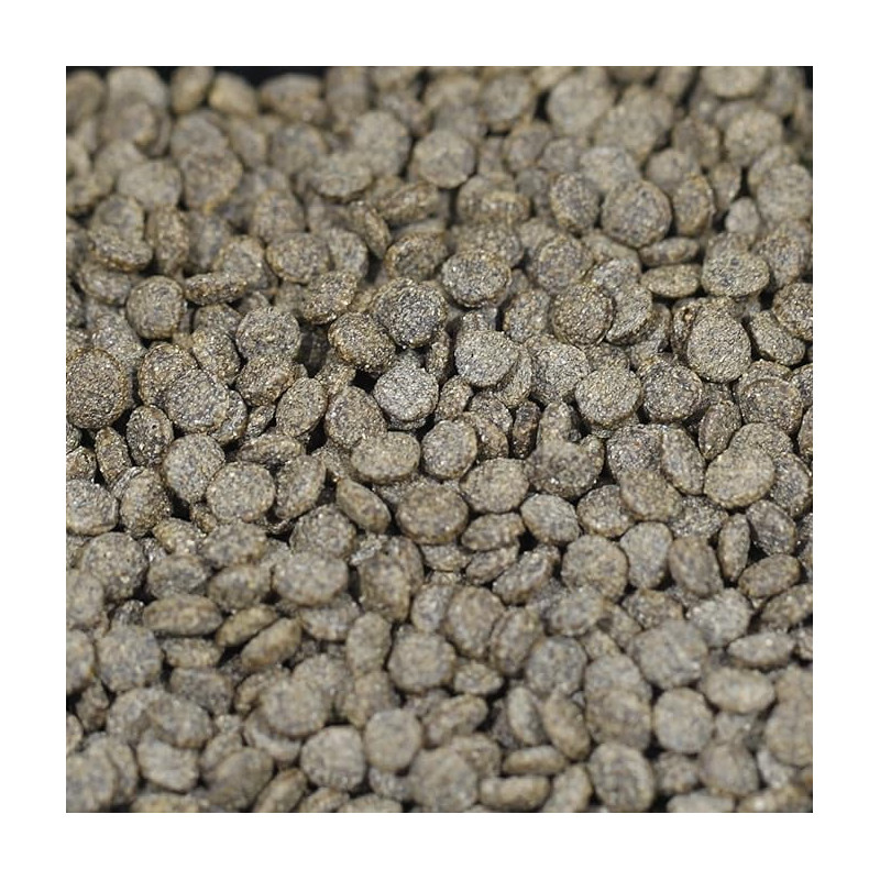 JBL ProPond Growth XS 1L 420g