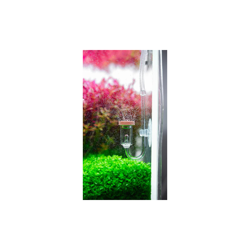 Chihiros Smart Wifi Hub