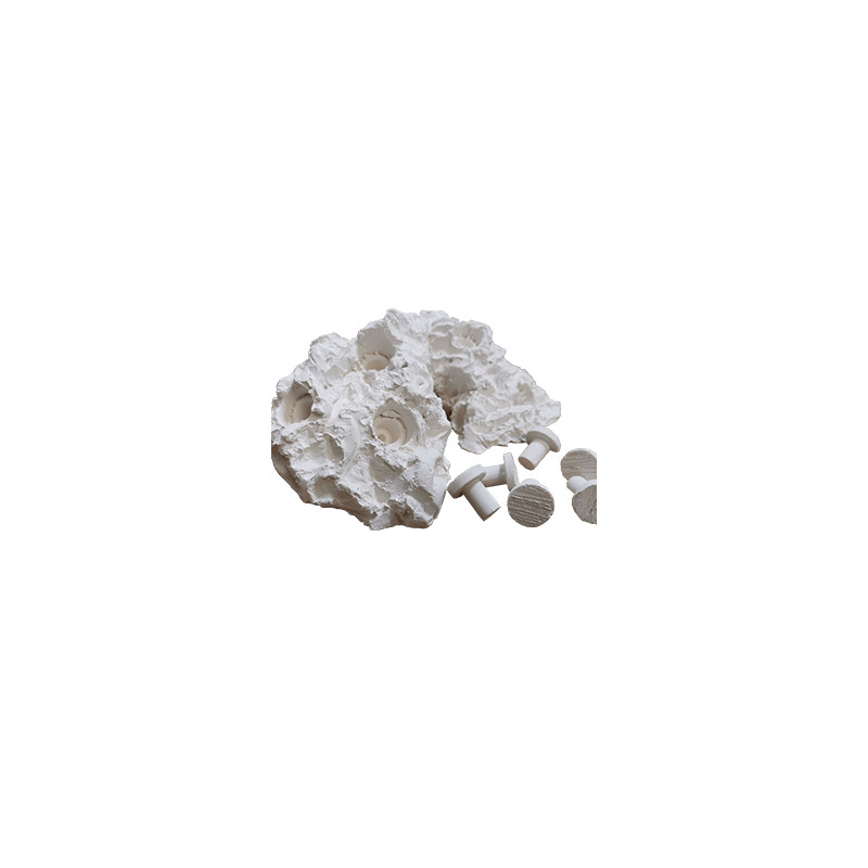 ReefTech Frag Rock 6 Plugs