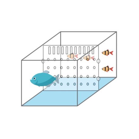 ICA- Divisória para Aquários