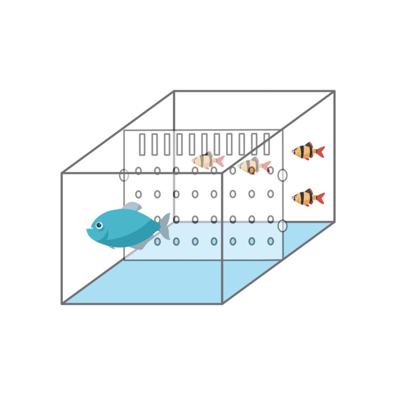 ICA - Aquarium divider