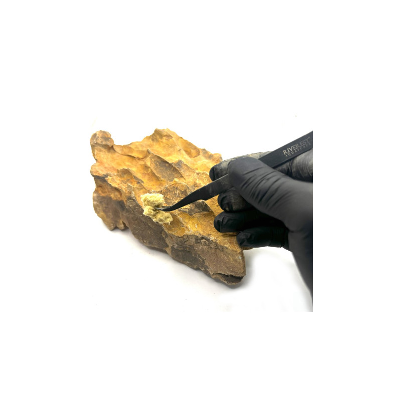 Fusion Compound yellow - Riverest