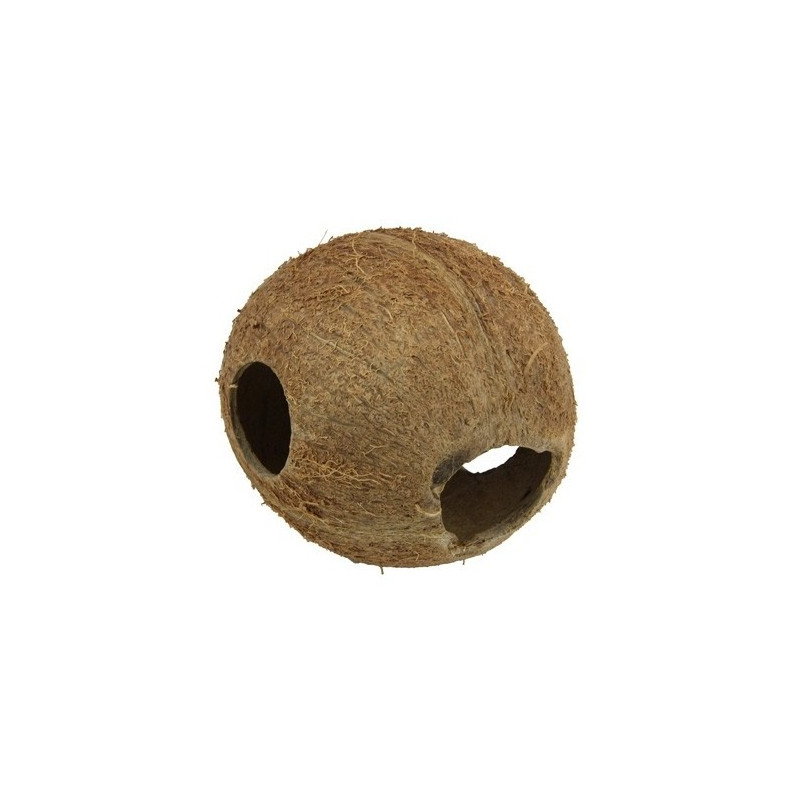 Cocos Cava "L" 1/1 JBL