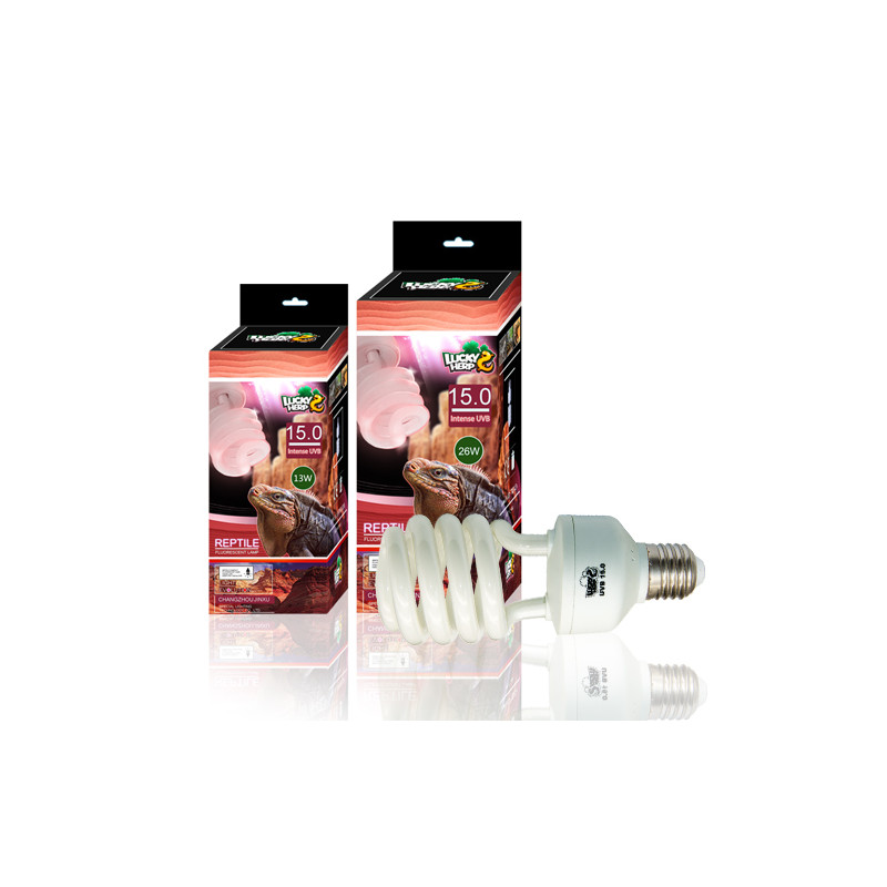 15.0 UVB Fluorescent Bulb E27 13W - LUCKY HERP