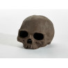 Scull ST-156