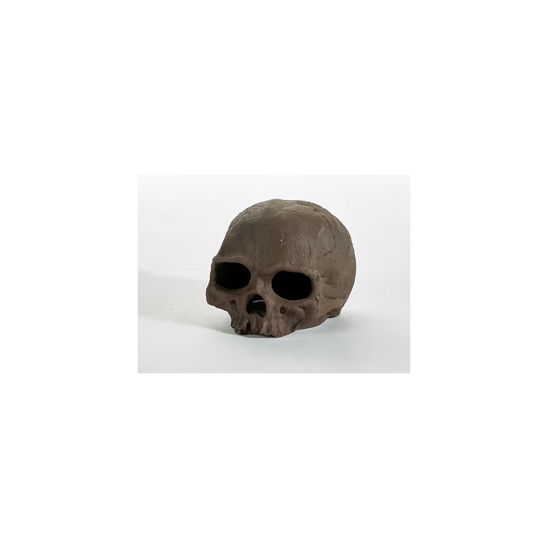 Scull ST-156