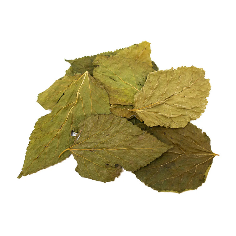 SS Mulberry Leaves