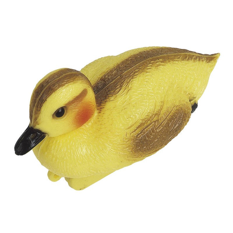 Patinho