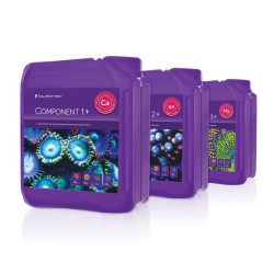 Component 1+ 2+ 3+ Component 1+ 2+ 3+