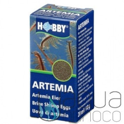 Hobby Ovos de Artémia 20ml Hobby Ovos de Artémia 20ml
