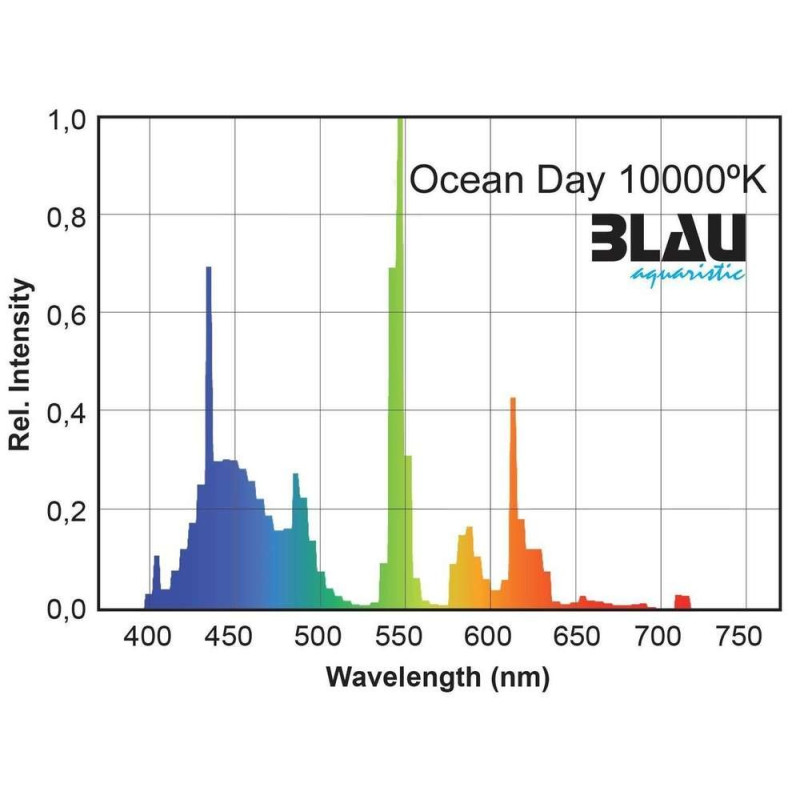 Ocean Day 10 000ºK - Blau