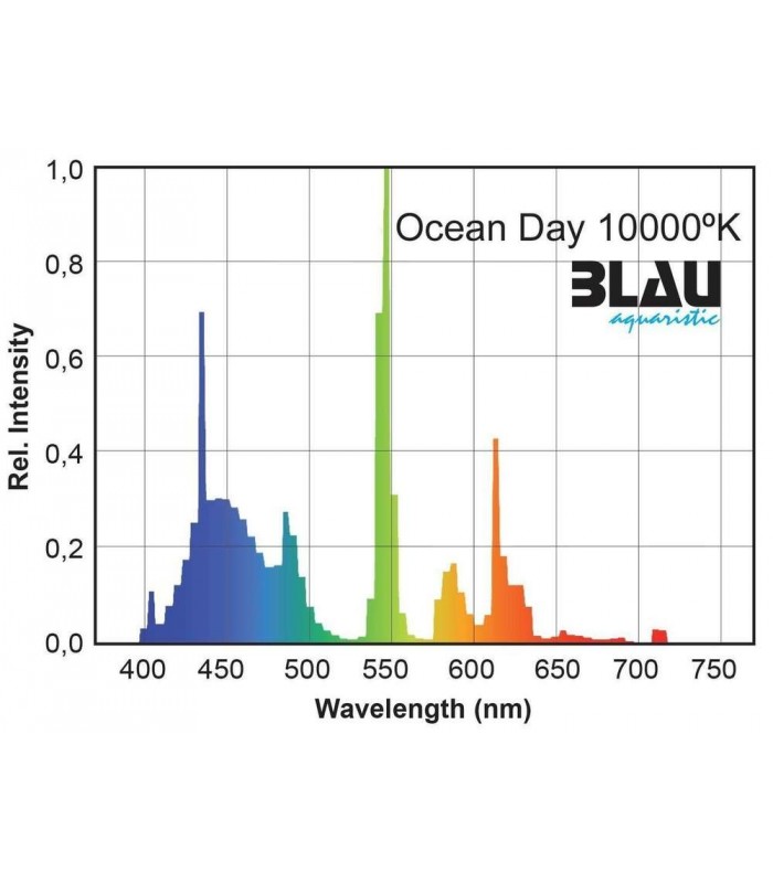 Ocean Day 10 000ºK - Blau