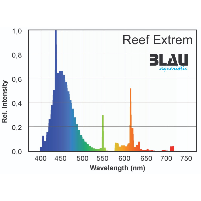 Reef Extrem 22 - Blau