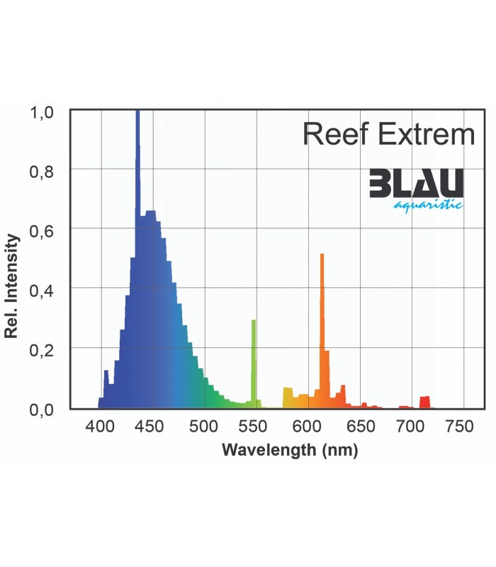 Reef Extrem 22 - Blau