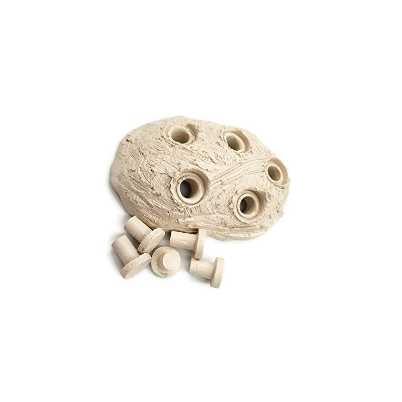 Frag Hub 5.0 - Oceans Wonders