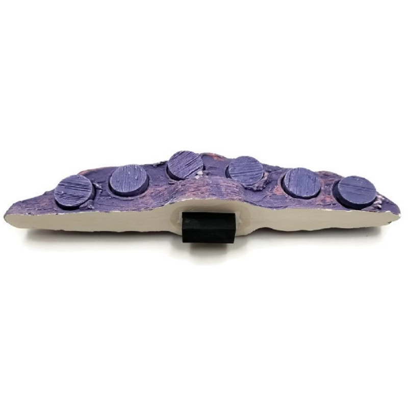 Mag Rock 6.0 - Base para plugs de corais magnética