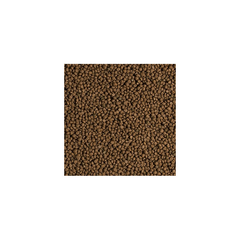 Tropical Koi Wheat Germ & Garlic Pellet - S