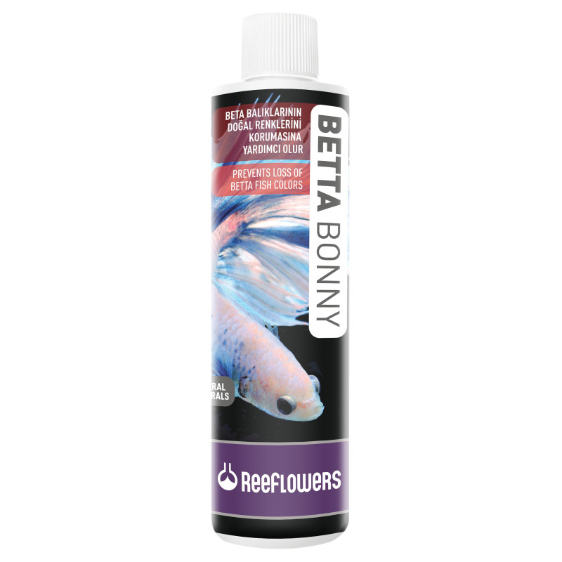 Betta Bonny 85ml - ReeFlowers