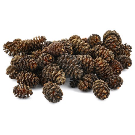 Cones de Amieiro / Alder Cones - 25g