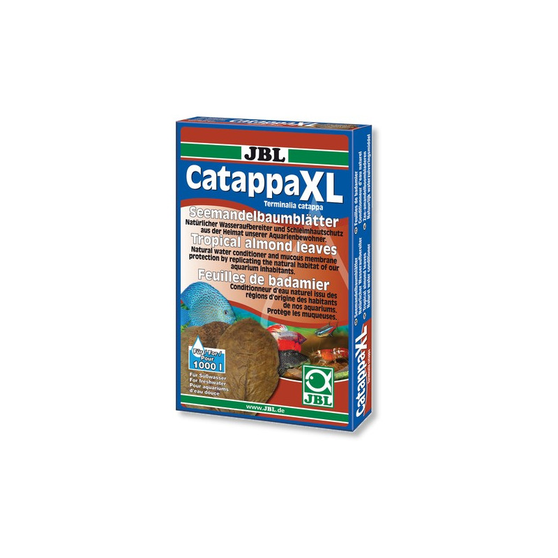 Folhas de Catappa XL - JBL