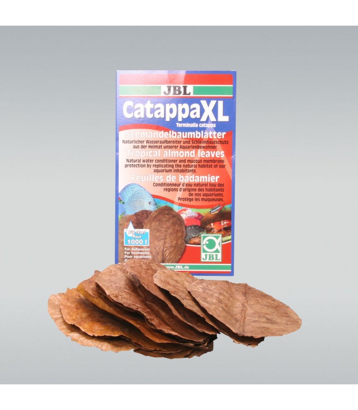 Folhas de Catappa XL - JBL