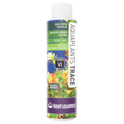 AquaPlants Trace - VI - ReeFlowers AquaPlants Trace - VI - ReeFlowers