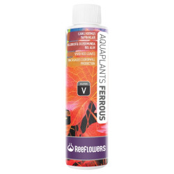AquaPlants Ferrous - V - ReeFlowers AquaPlants Ferrous - V - ReeFlowers