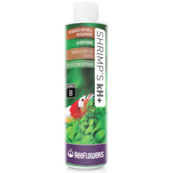 Shrimps kH+ - ReeFlowers Shrimps kH+ - ReeFlowers