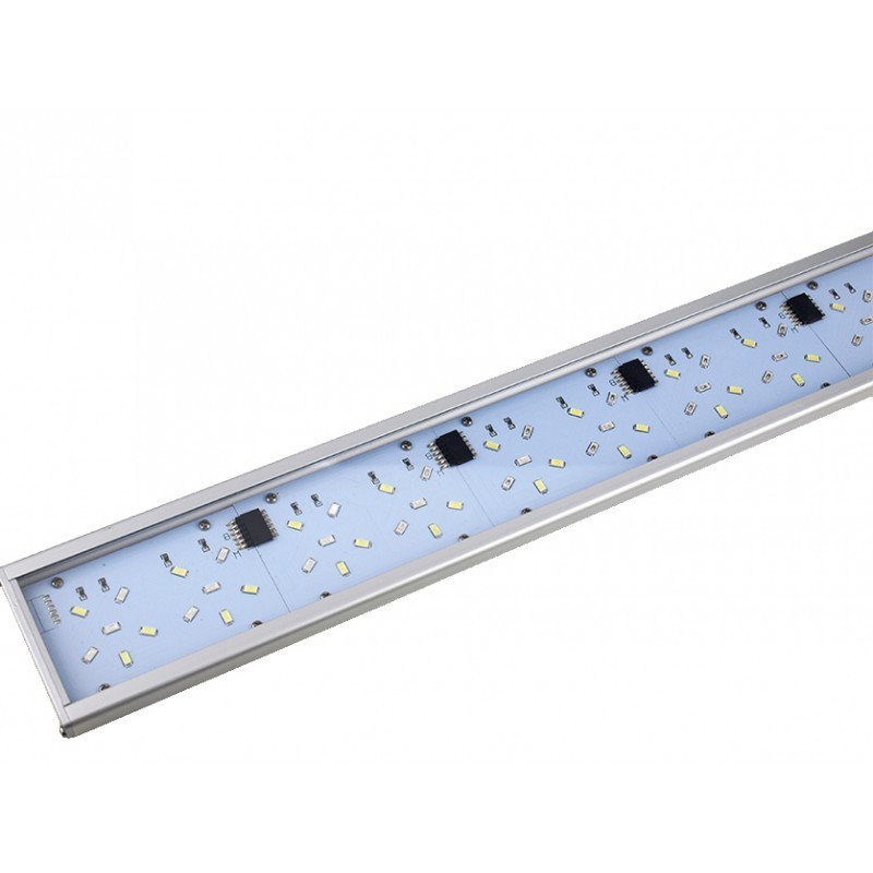 Mini Lumina 40 Água Doce - Blau