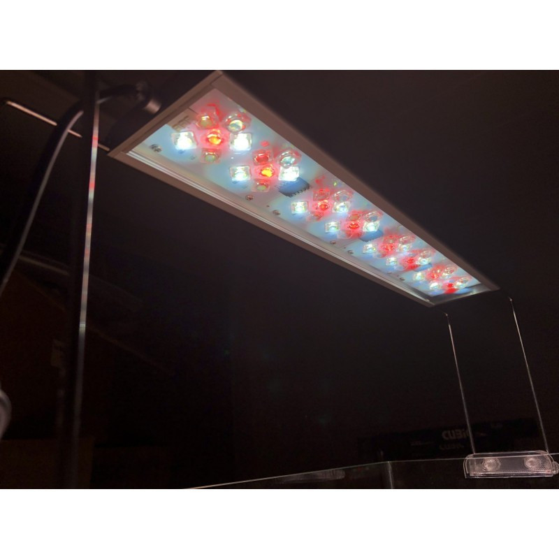 Mini Lumina 40 Água Doce - Blau