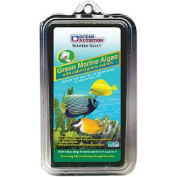 Green Marine Algae w/ Garlic - Ocean Nutrition Green Marine Algae w/ Garlic - Ocean Nutrition