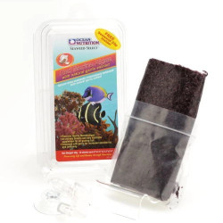 Red Marine Algae w/ Garlic - Ocean Nutrition Red Marine Algae w/ Garlic - Ocean Nutrition