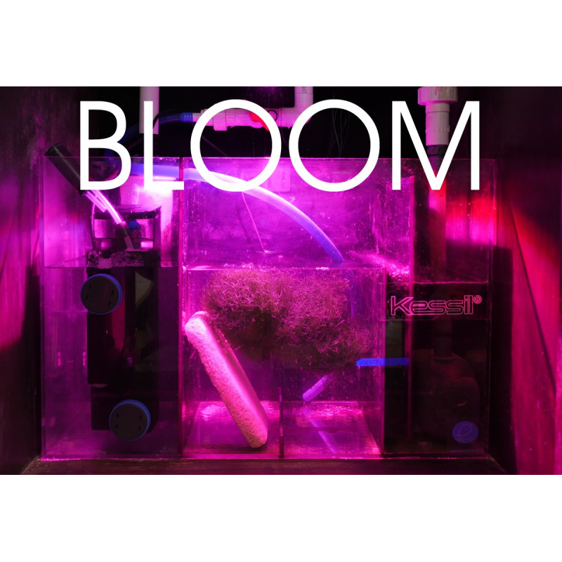 H160 Tuna Flora LED  - Kessil