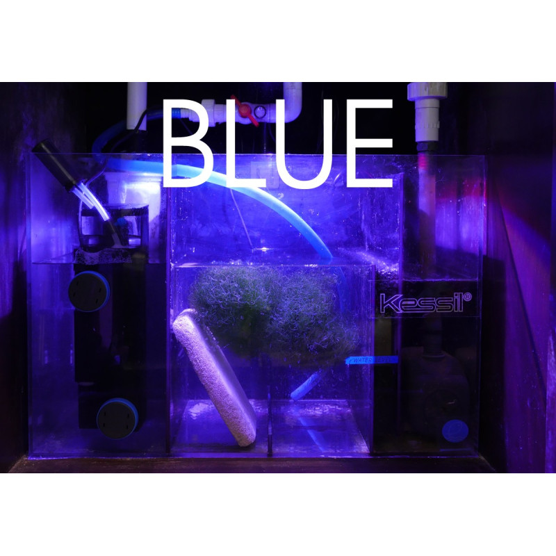 H160 Tuna Flora LED  - Kessil