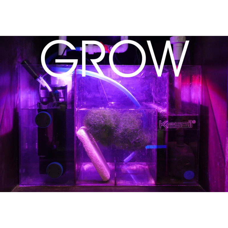 H160 Tuna Flora LED  - Kessil