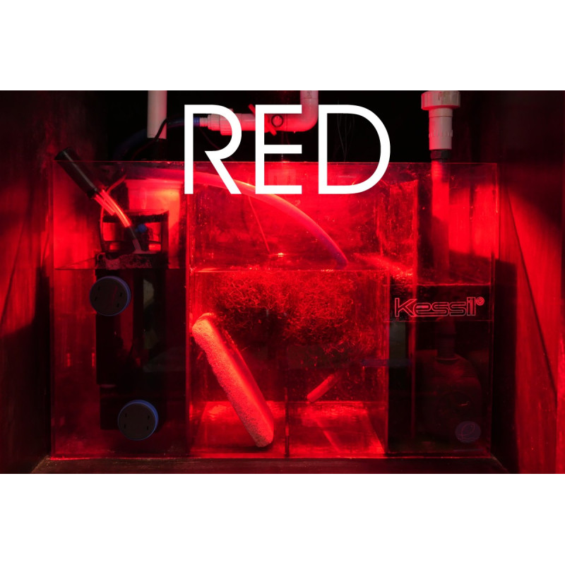 H160 Tuna Flora LED  - Kessil