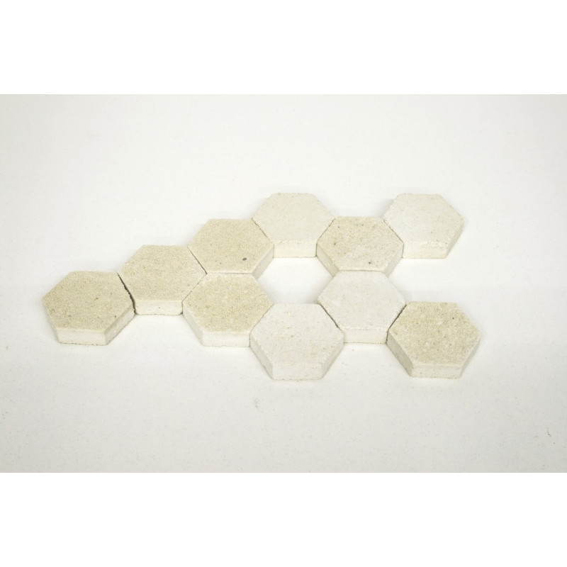 Coral Frag Hexadisks 20uni - Oceans Wonders