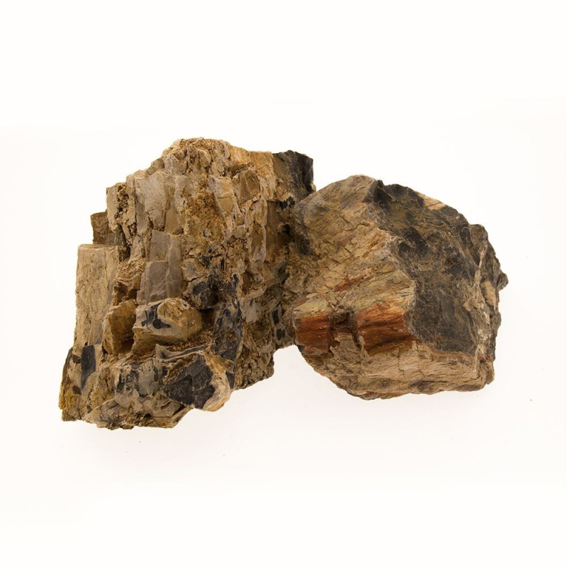 Madeira Petrificada